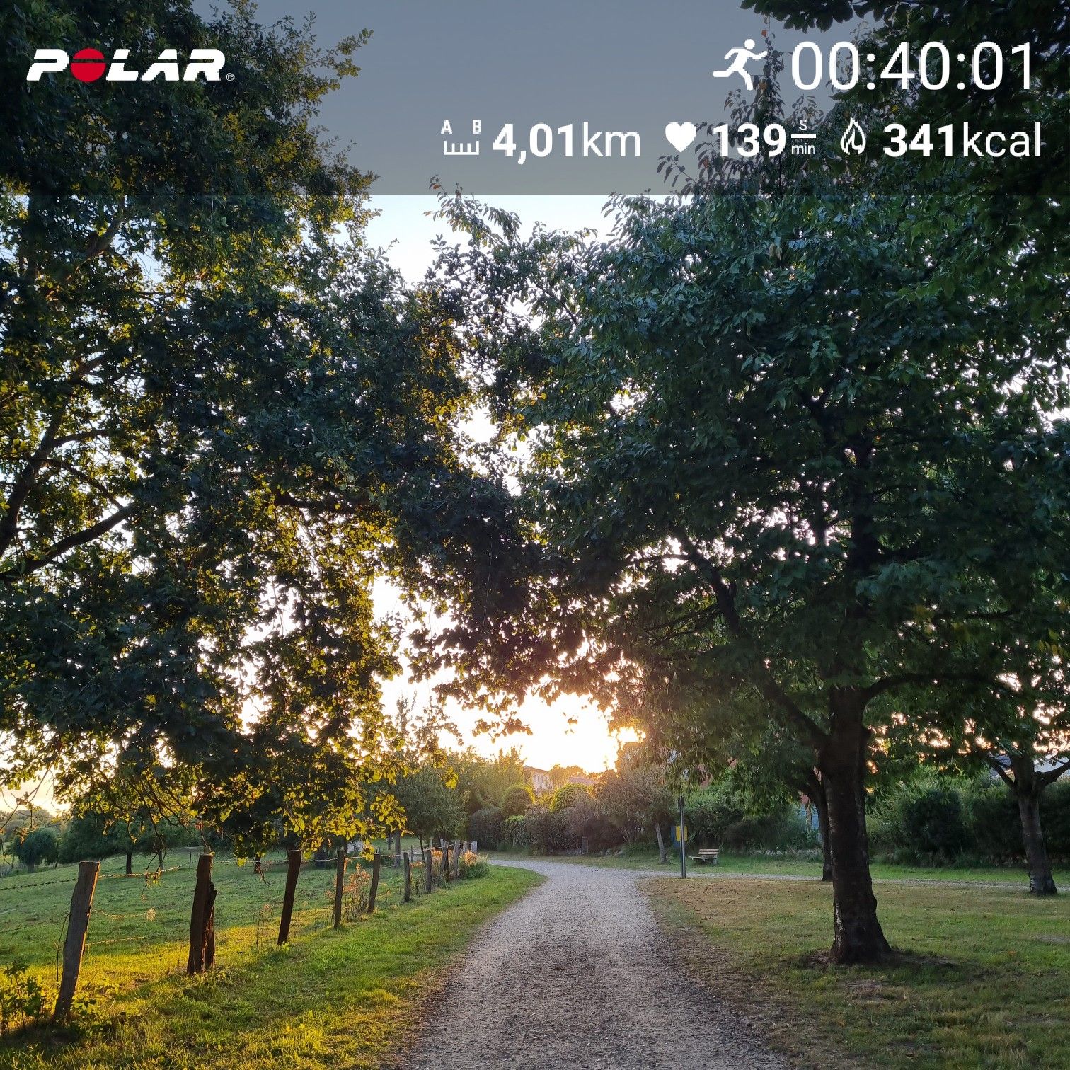 [Flex60 W1-2]: 30 min lockerer Dauerlauf (HF 145-151)