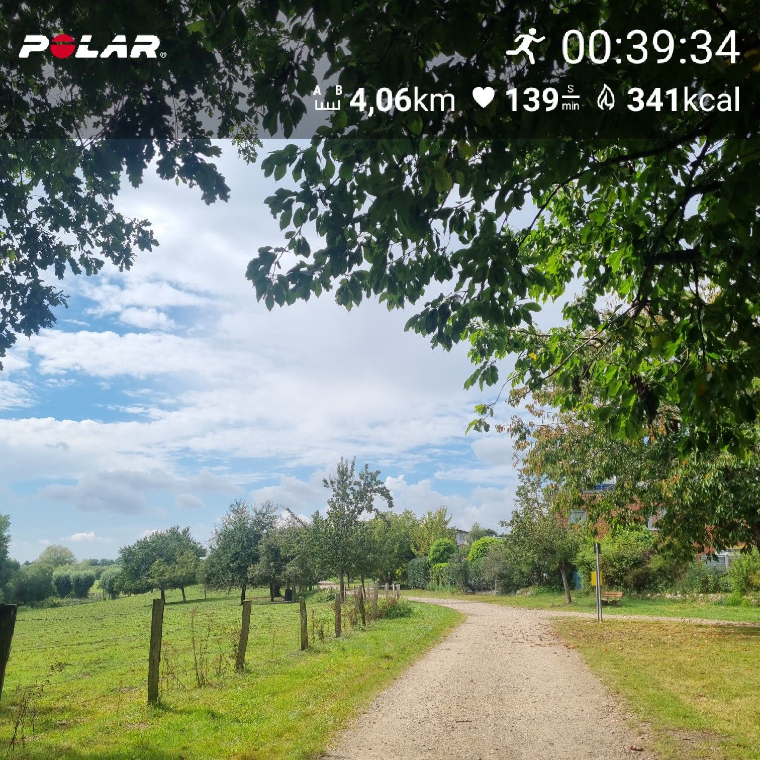 [Flex60 W1-3]: 30 min lockerer Dauerlauf (HF 143-149)