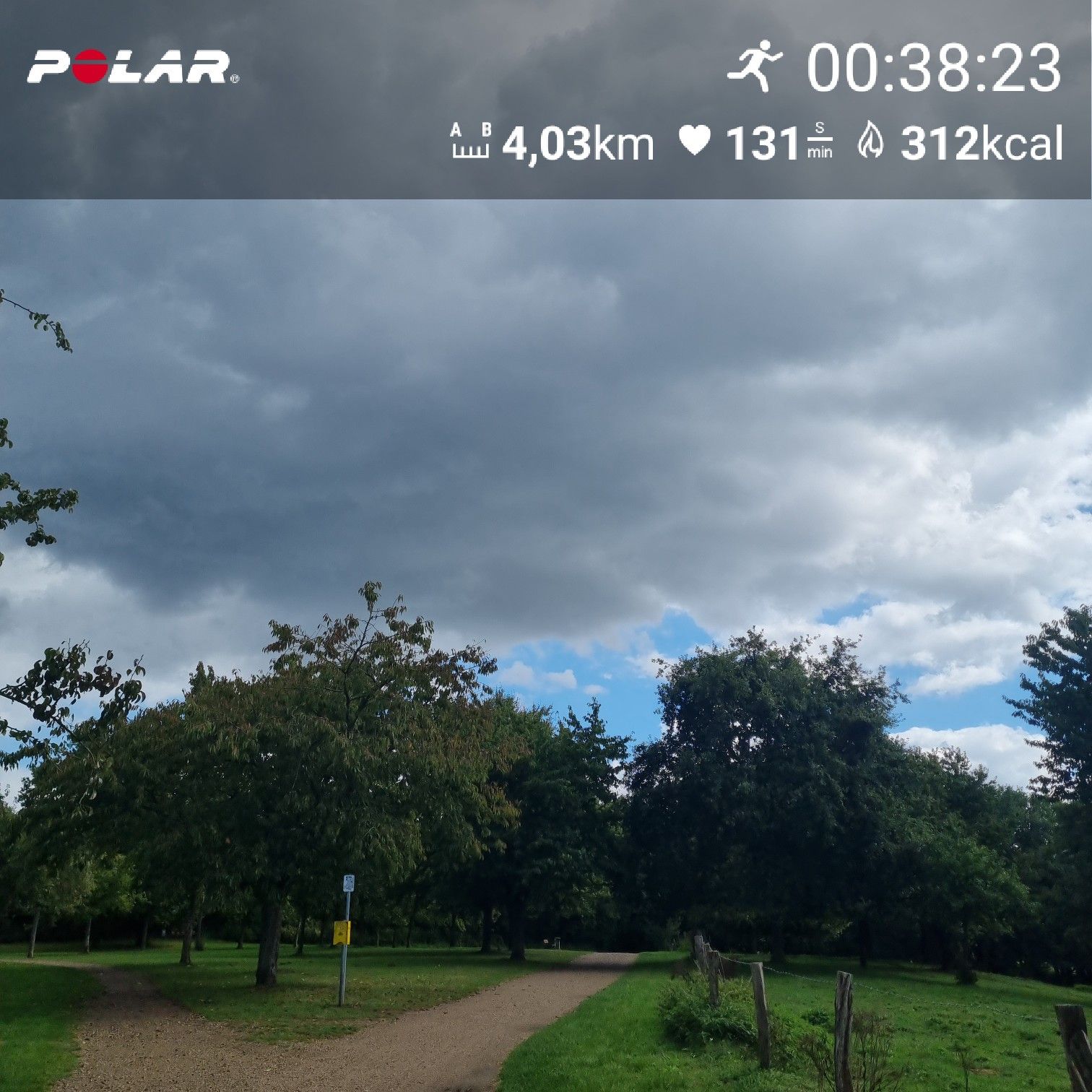 [Flex60 W3-2]: 30 min lockerer Dauerlauf (HF 145-151)