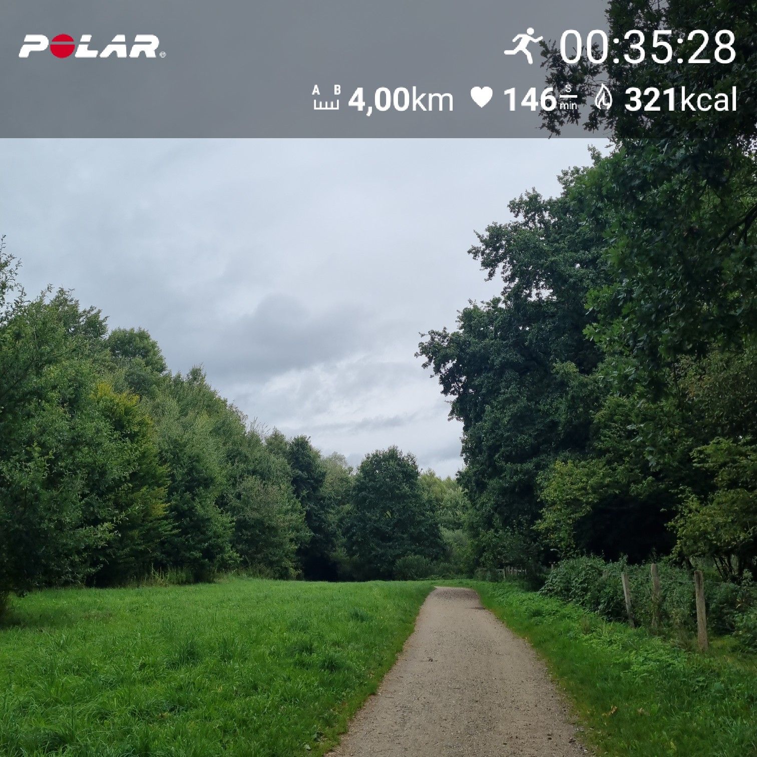 [Flex60 W3-3]: 50 min lockerer Dauerlauf (HF 143-149)