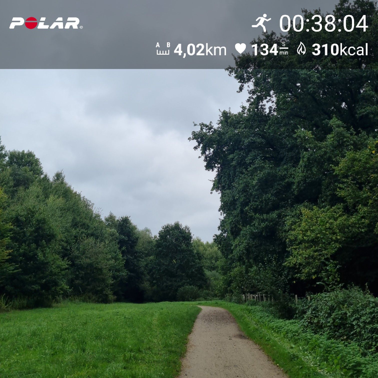 [Flex60 W4-1]: 30 min lockerer Dauerlauf (HF 145-151)