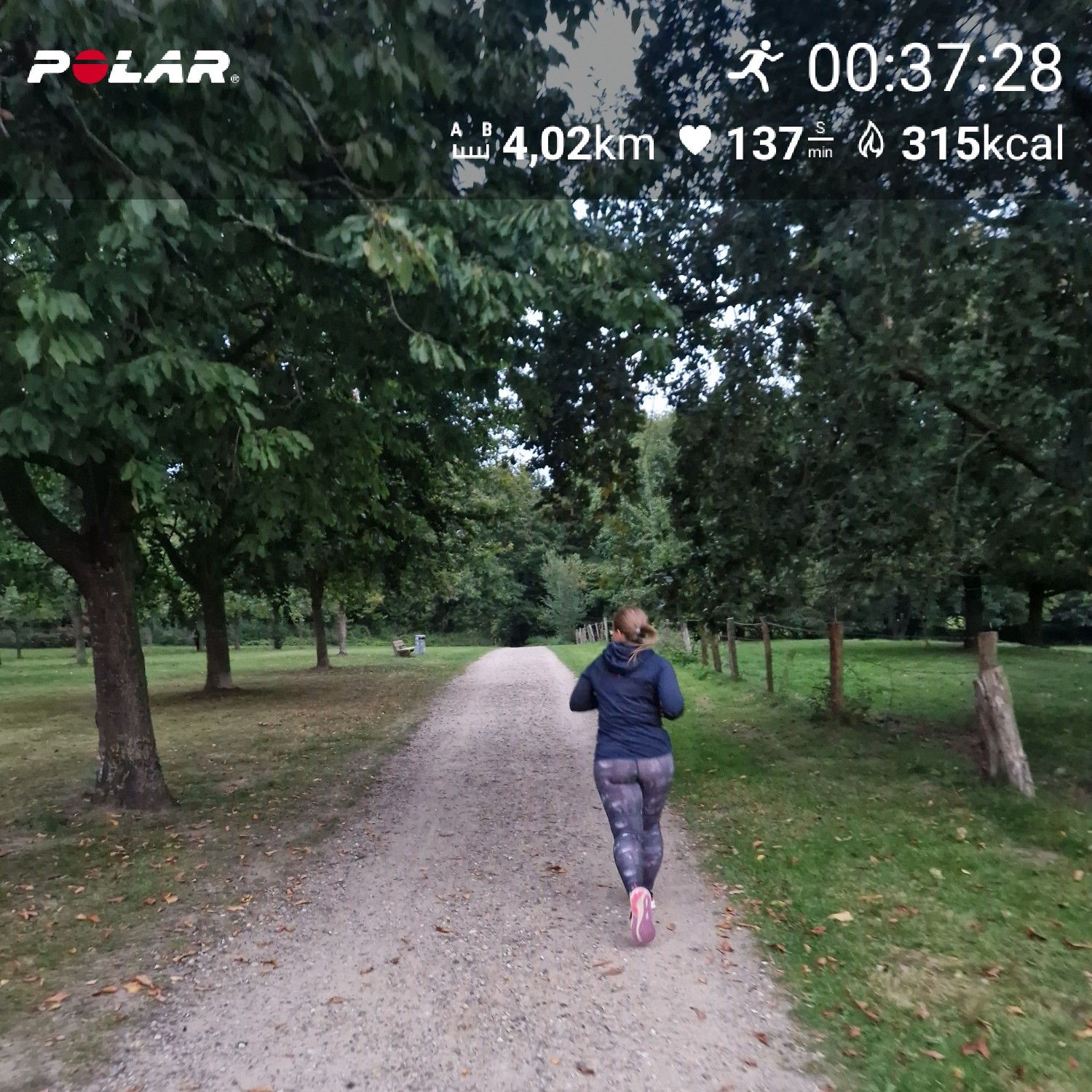 [Flex60 W4-3]: 30 min lockerer Dauerlauf (HF 143-149)