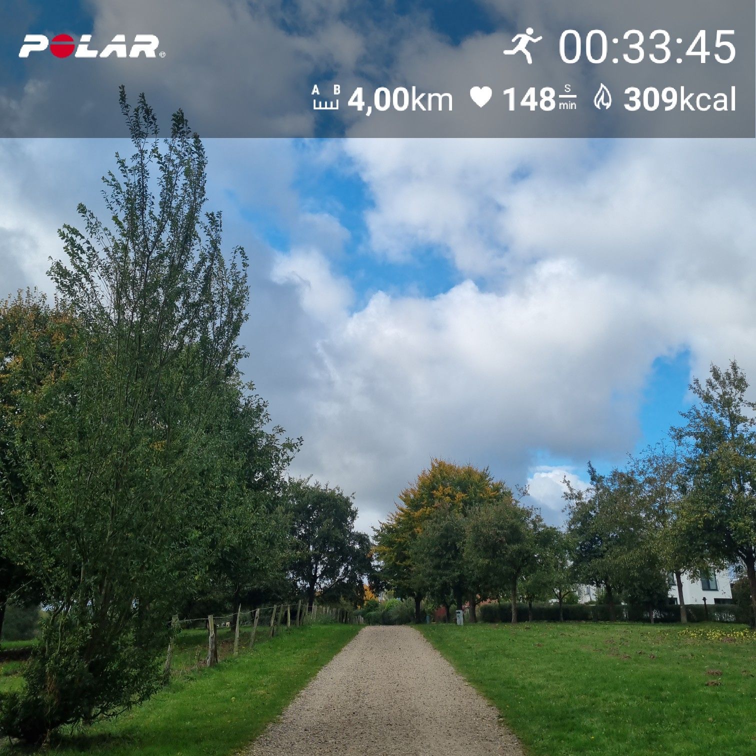 [Flex60 W5-2]: 10 min EL, 10 min Fahrtspiel oder zügiger DL, 10 min loDL (HF 145-151)