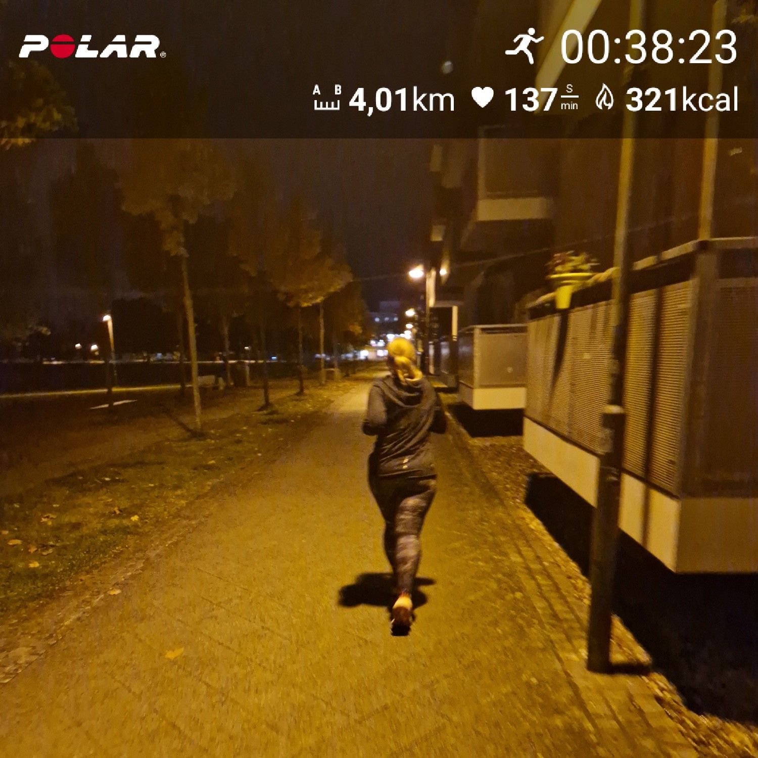 [Flex60 W5-3]: 30 min lockerer Dauerlauf (HF 143-149)