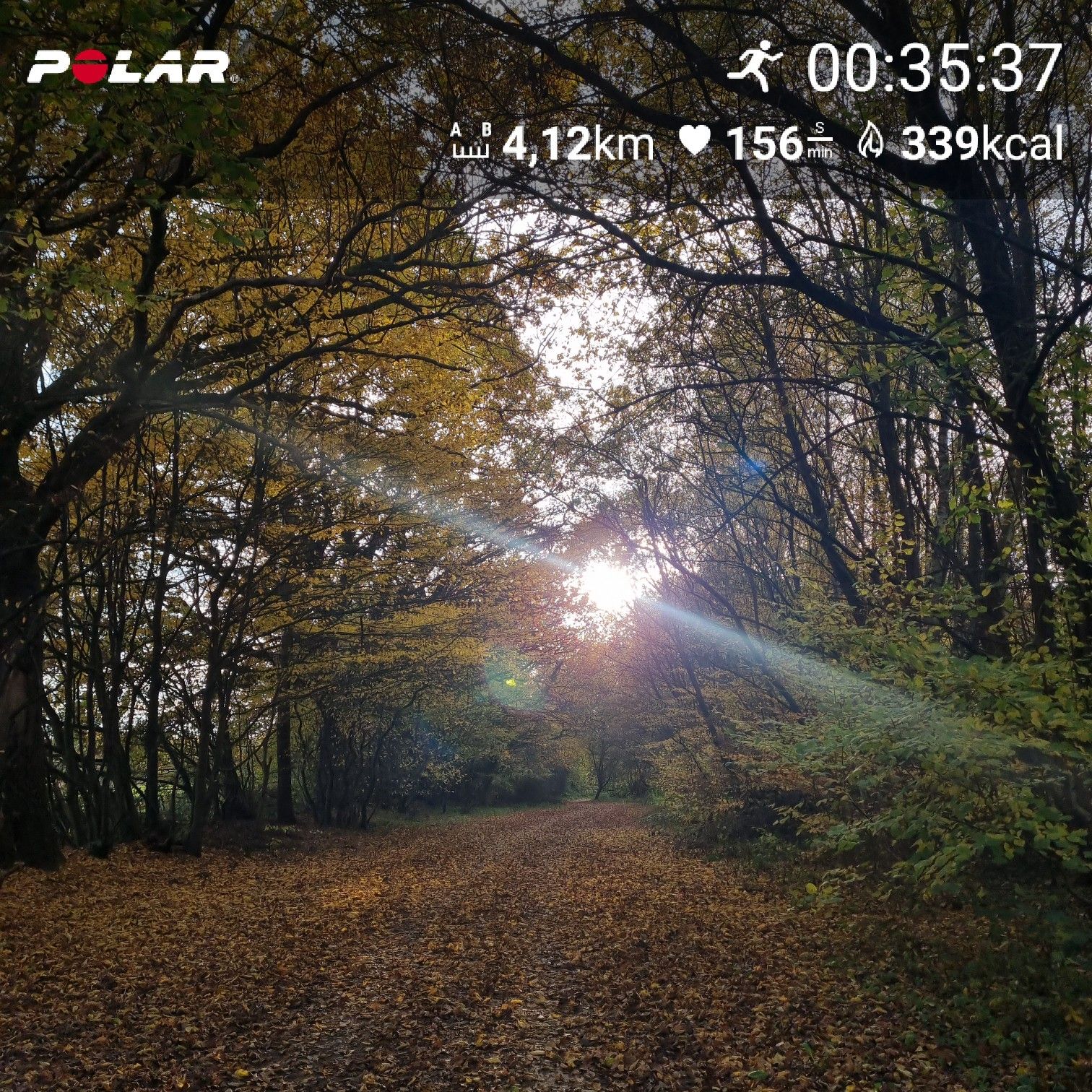 [Flex60 W6-2]: 10 min EL, 15 min Fahrtspiel oder zügiger DL, 10 min loDL (HF 145-151)