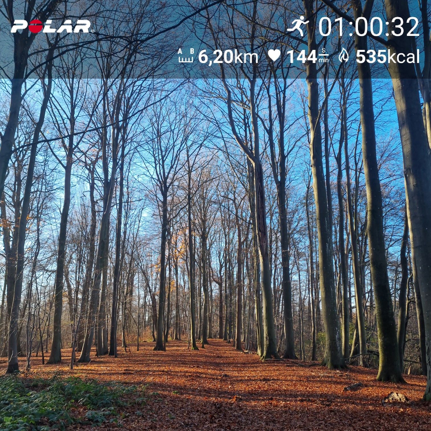 [Flex60 W6-3]: 60 min lockerer Dauerlauf (HF 145-151)