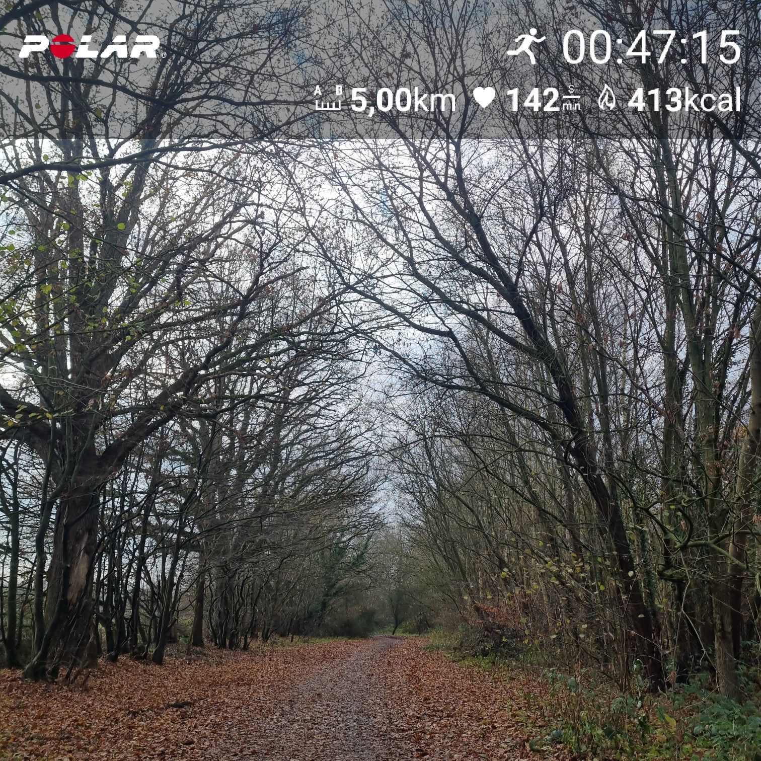 [Flex60 W7-2]: 10 min EL, 15 min Fahrtspiel oder zügiger DL, 20 min loDL (HF 145-151)