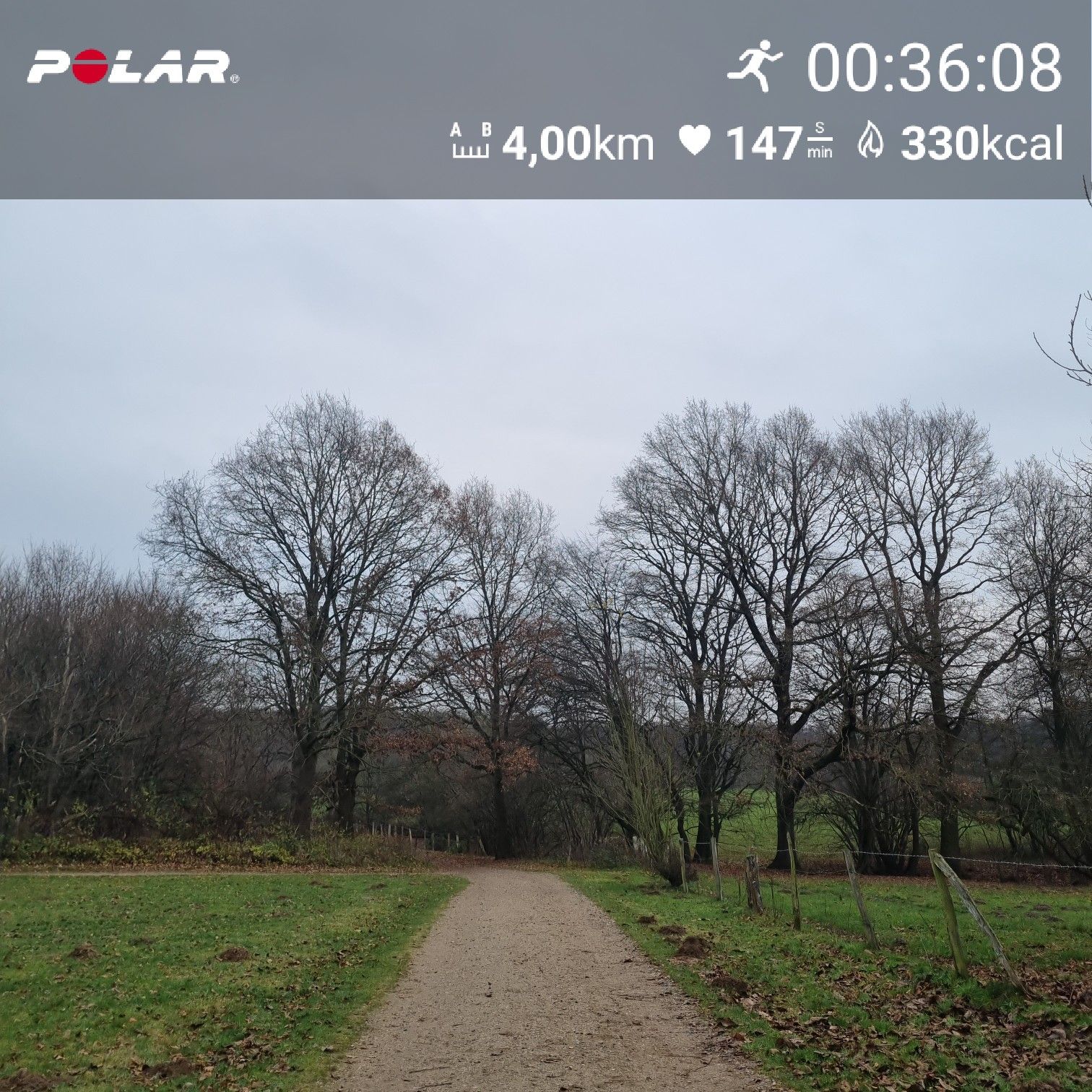 [Flex60 W8-1]: 30 min lockerer Dauerlauf (HF 145-151)