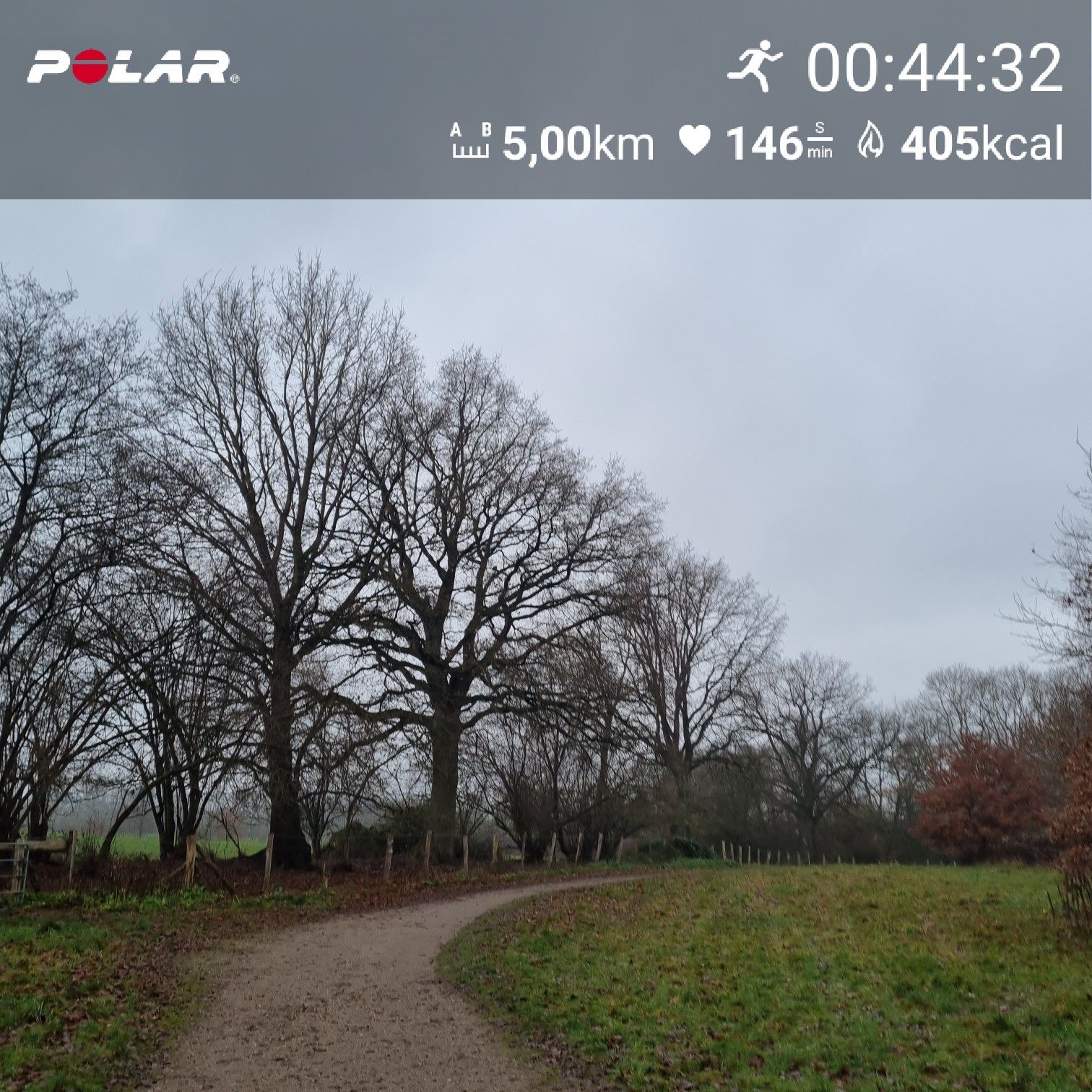 [Flex60 W8-2]: 30 min lockerer Dauerlauf (HF 143-149)