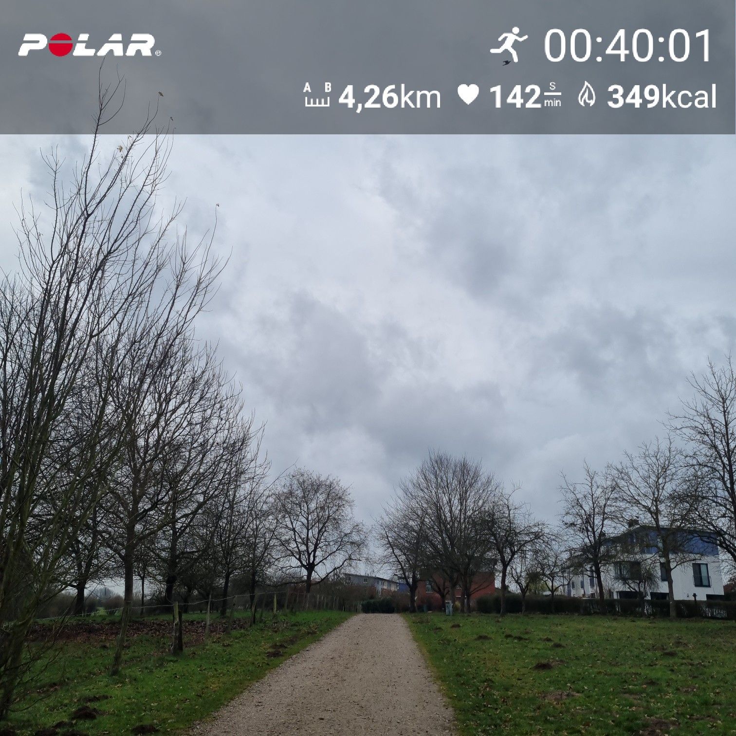 [Flex60 W8-3]: 40 min lockerer Dauerlauf (HF 143-149)