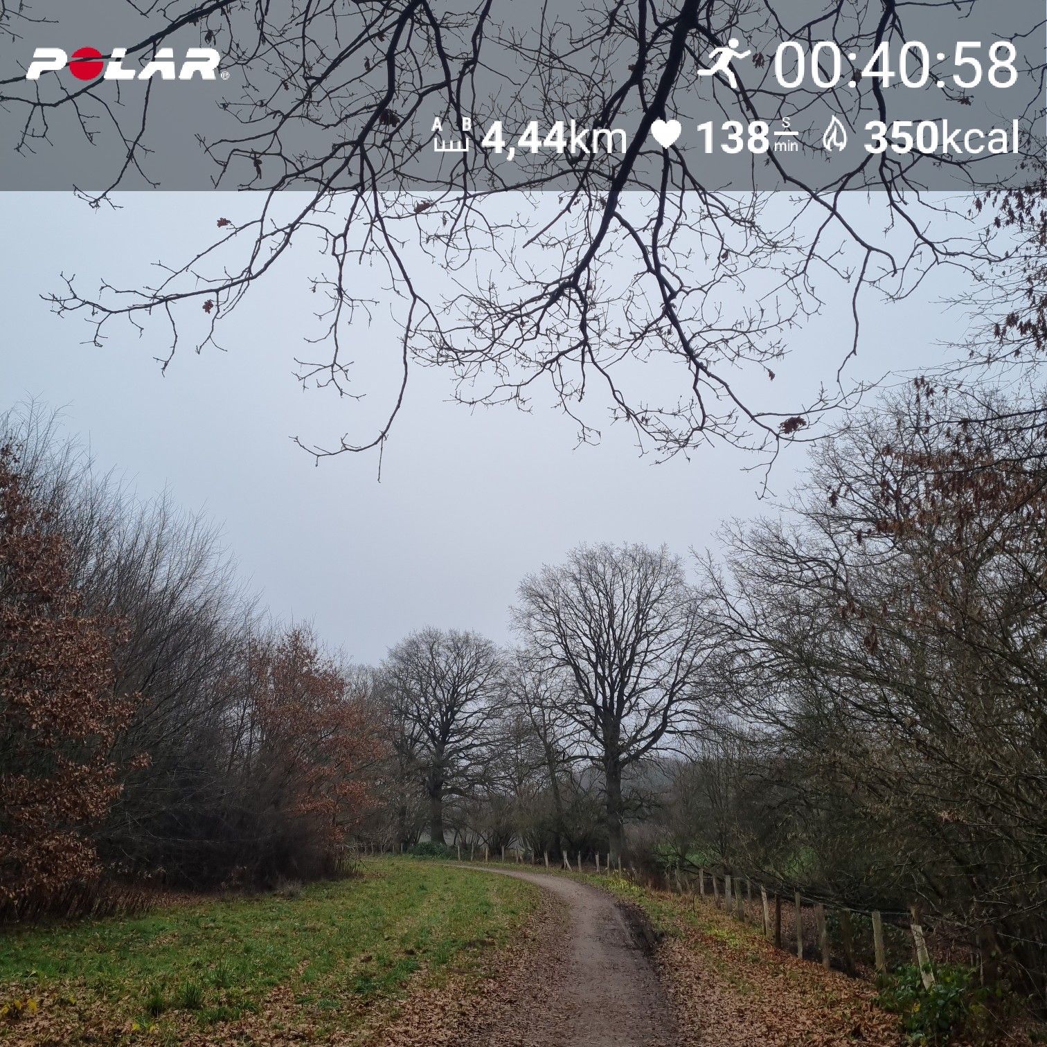 [Flex60 W9-1]: 30 min lockerer Dauerlauf (HF 145-151)