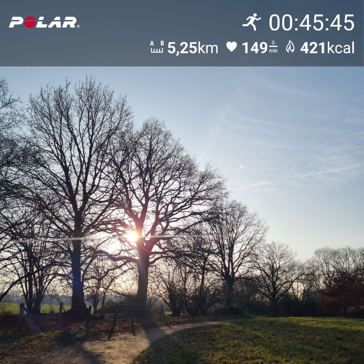 [Flex60 W9-2]: 10 min EL, 15 min Fahrtspiel oder zügiger DL, 20 min loDL (HF 145-151)