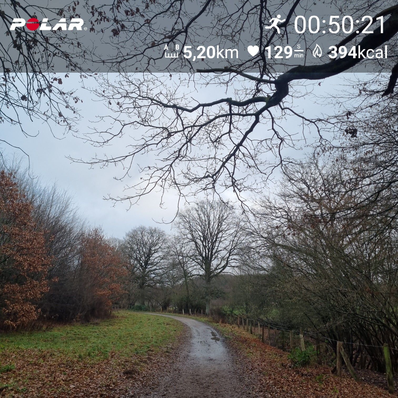 Jahresabschlussläufchen 2025