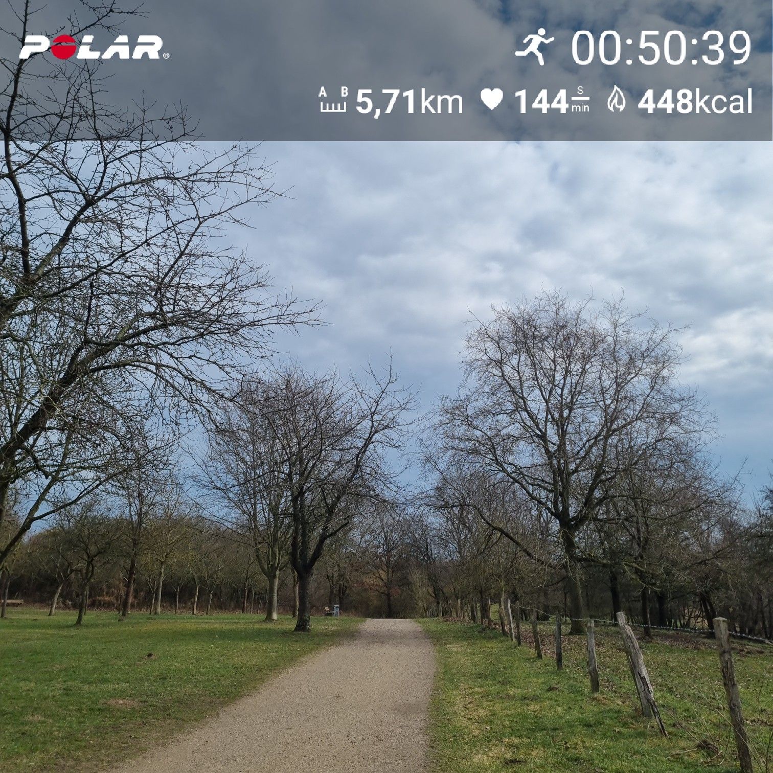 [Flex90 W3-2]: 50 min lockerer Dauerlauf (HF 140-146)