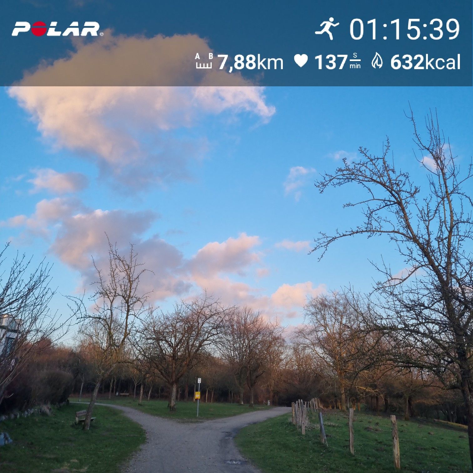 [Flex90 W3-3]: 70 min lockerer Dauerlauf (HF 134-140)