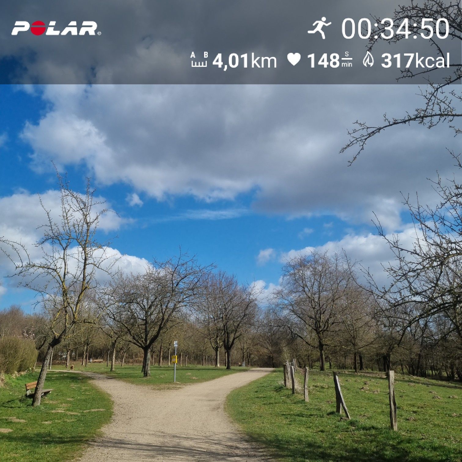 [Flex90 W4-2]: 30 min lockerer Dauerlauf (HF 140-146)