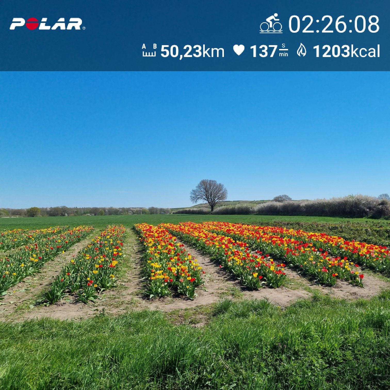 Rennradrunde um den Ratzeburger See