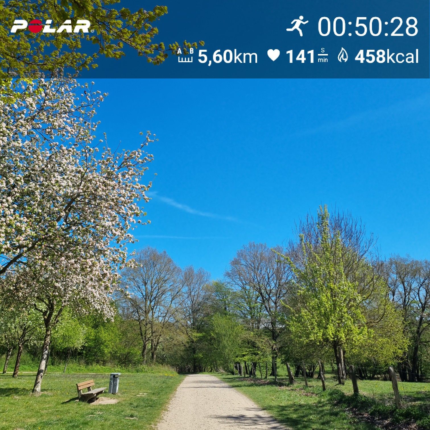 [Flex90 W9-1]: 50 min lockerer Dauerlauf (HF 144-150)