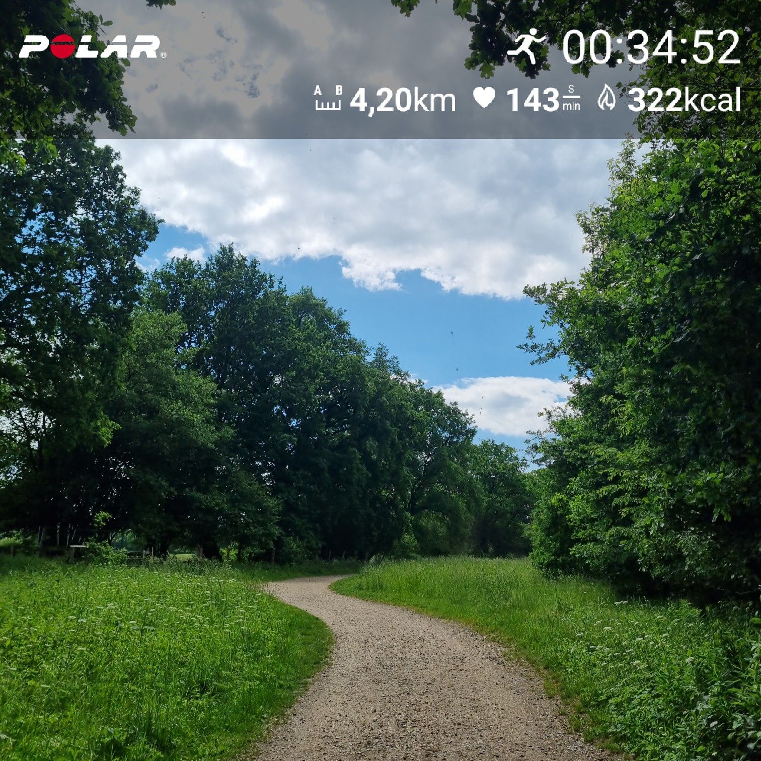 Lockerer Dauerlauf