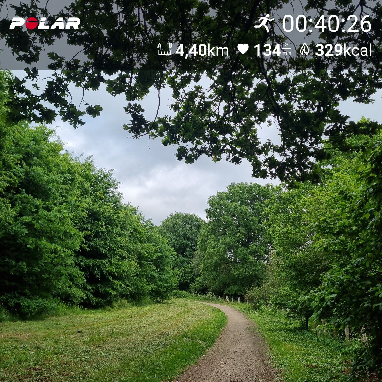 [W1-2] 45 min Lockerer Dauerlauf (HF135-143)